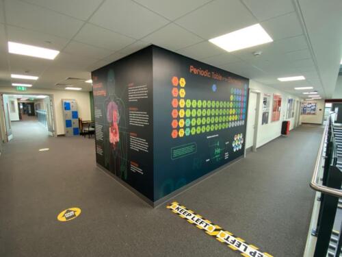 High Tunstall College of Science wall graphic corner
