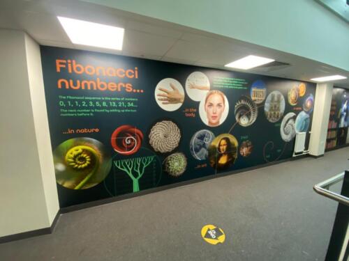 Secondary school Fibonacci wall graphic