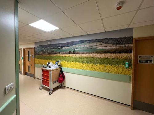 waiting-area-wall-art-in-hospital