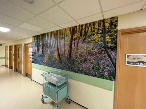wall-art-in hospital-corridor