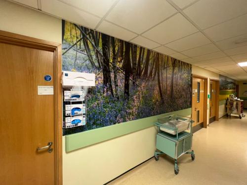 NHS-corridor-wall-art